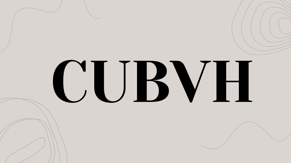 Cubvh – The Future of 3D Virtual Environments